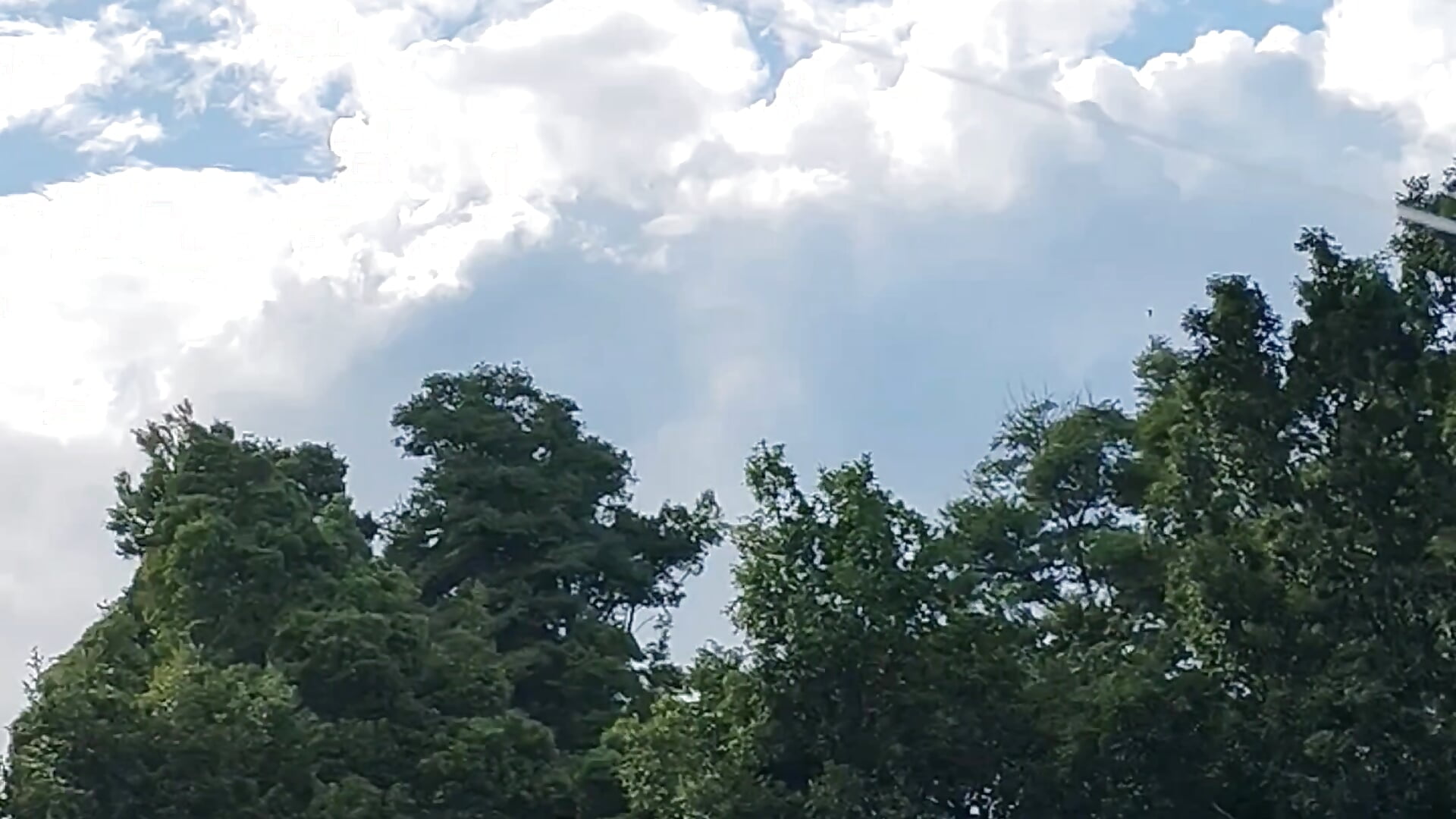 Happy sunday 🤗 - vídeo de Mxss_Honey modelo de câmara