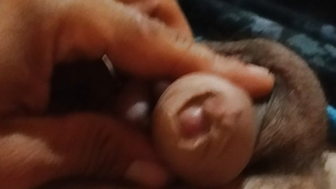 espero les guste - video nahuelaspirineta kameramallilta