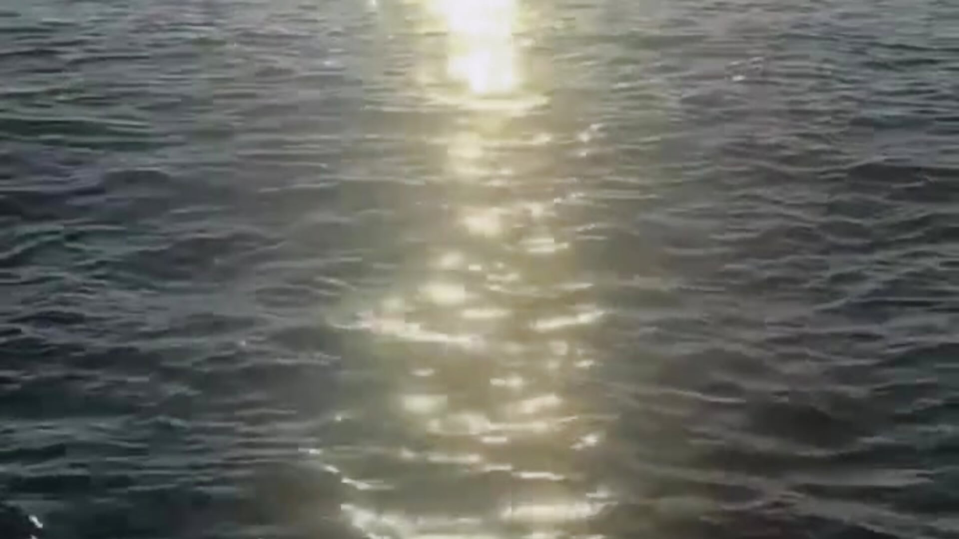 imagine us sitting here together and watching the sunset⛅️🌊 - video by ErikaShyy cam model