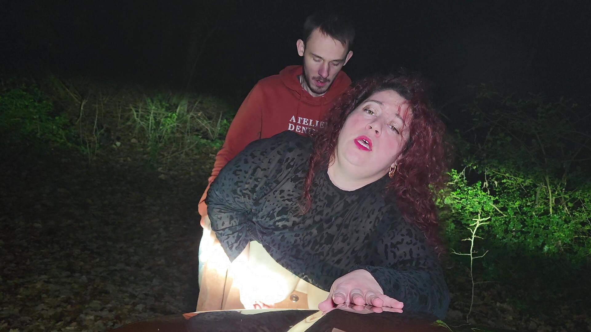 Baisé dans la forêt nocturne