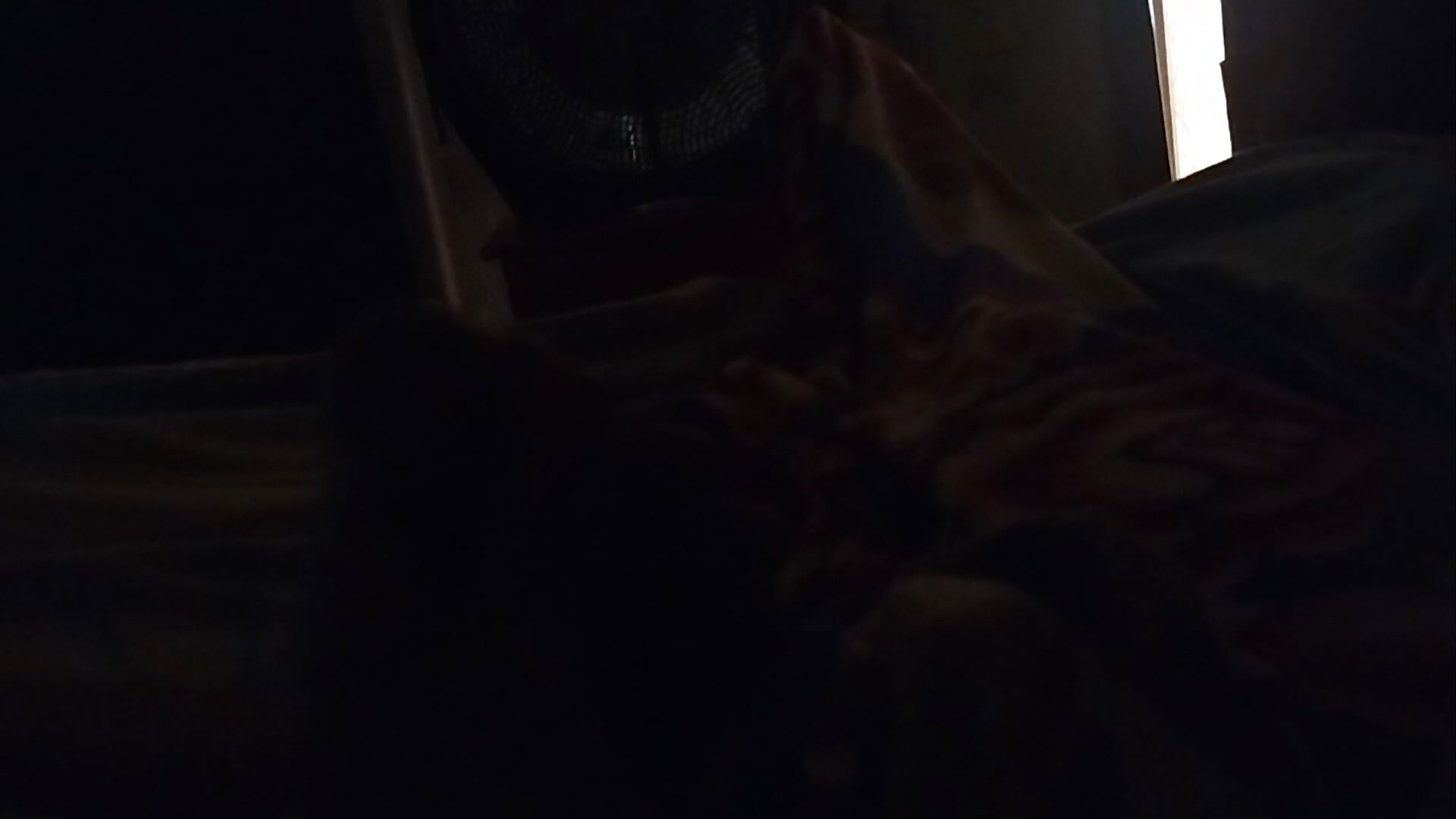 1000178047 - video by Alejandro310