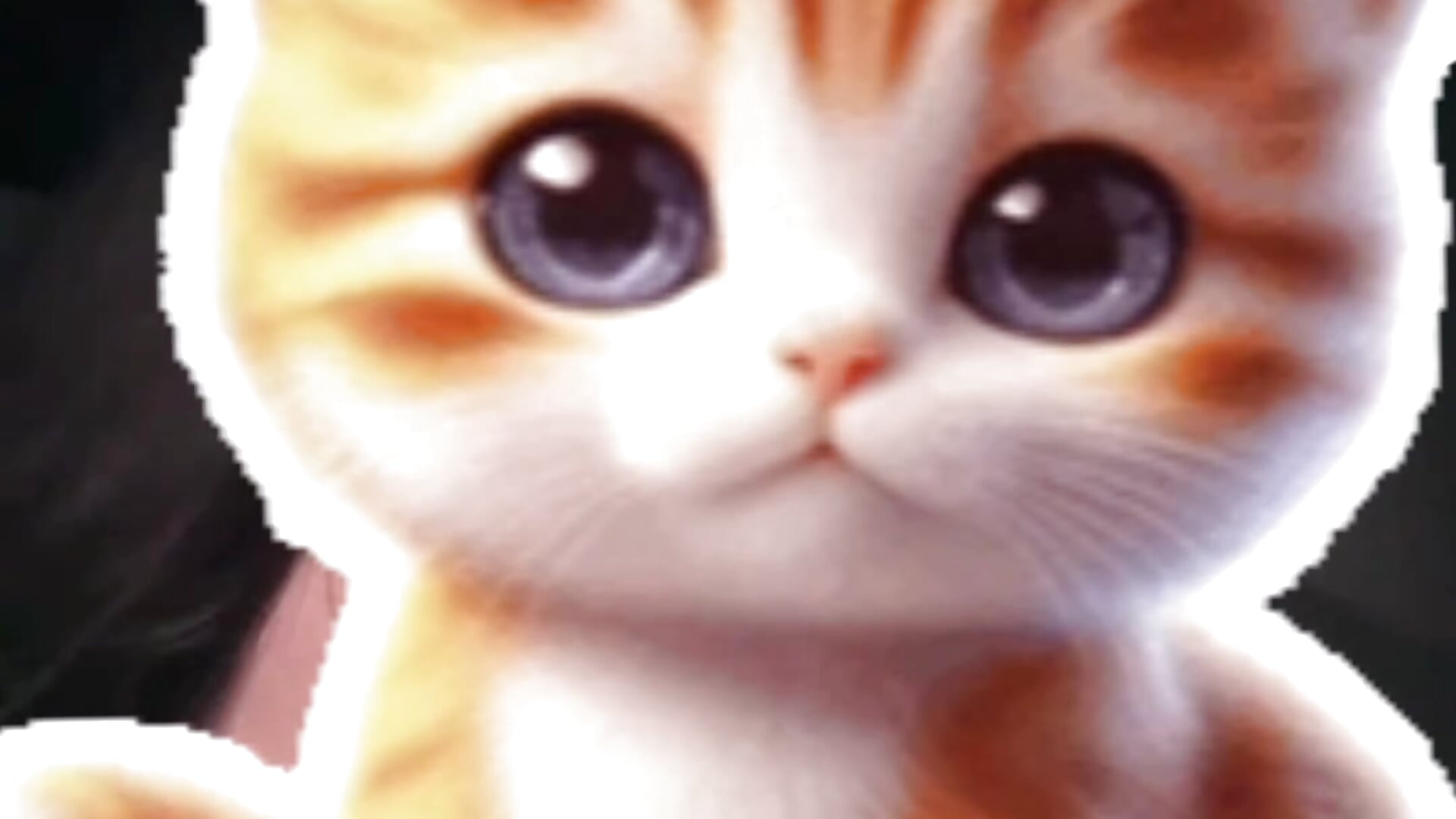 顔ギリฅ•ω•ฅ