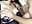 Romayssae_ali-arabic - Romayssae_Ali-Arabic 的视频