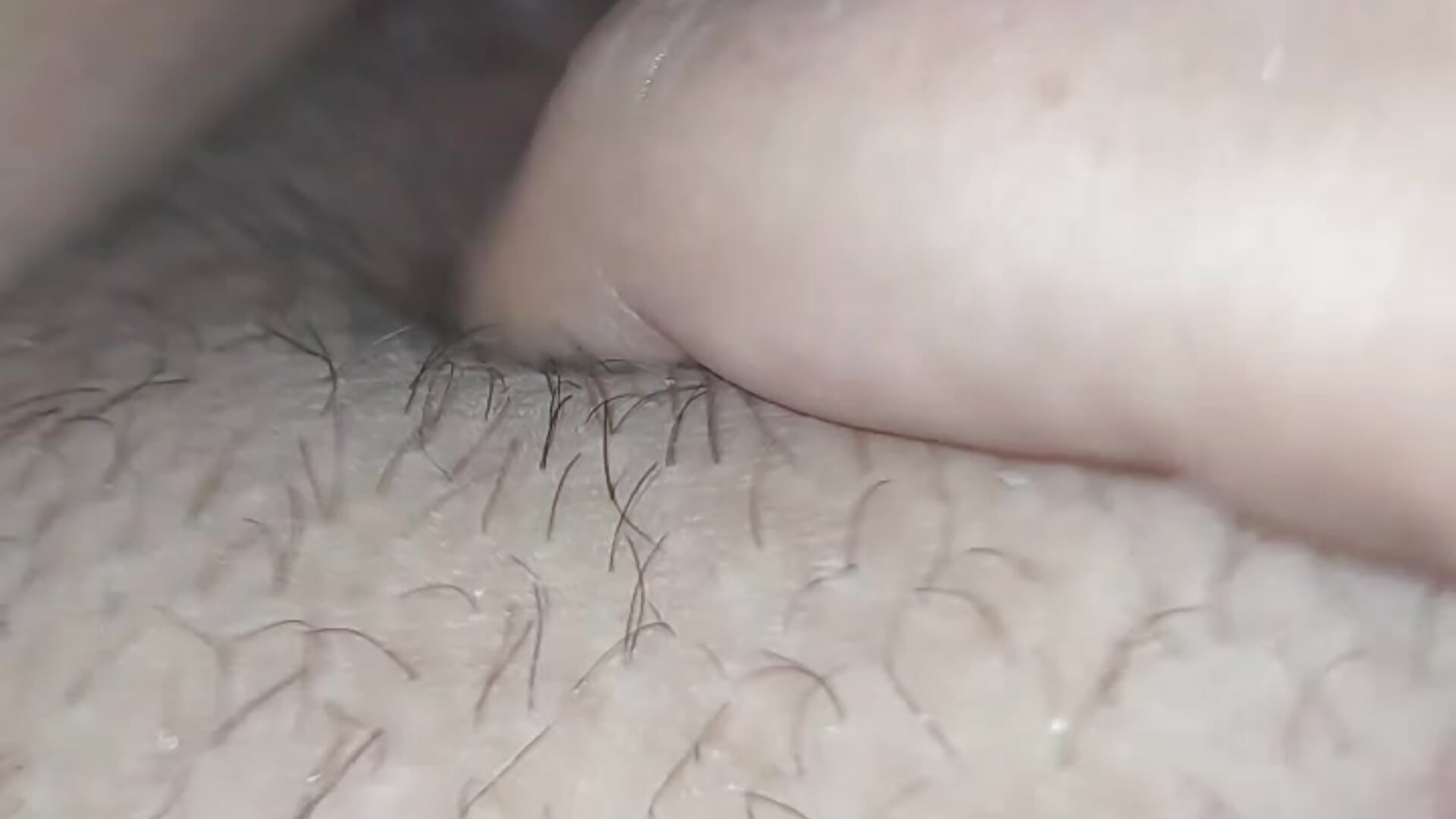 VID-20240730-WA0003