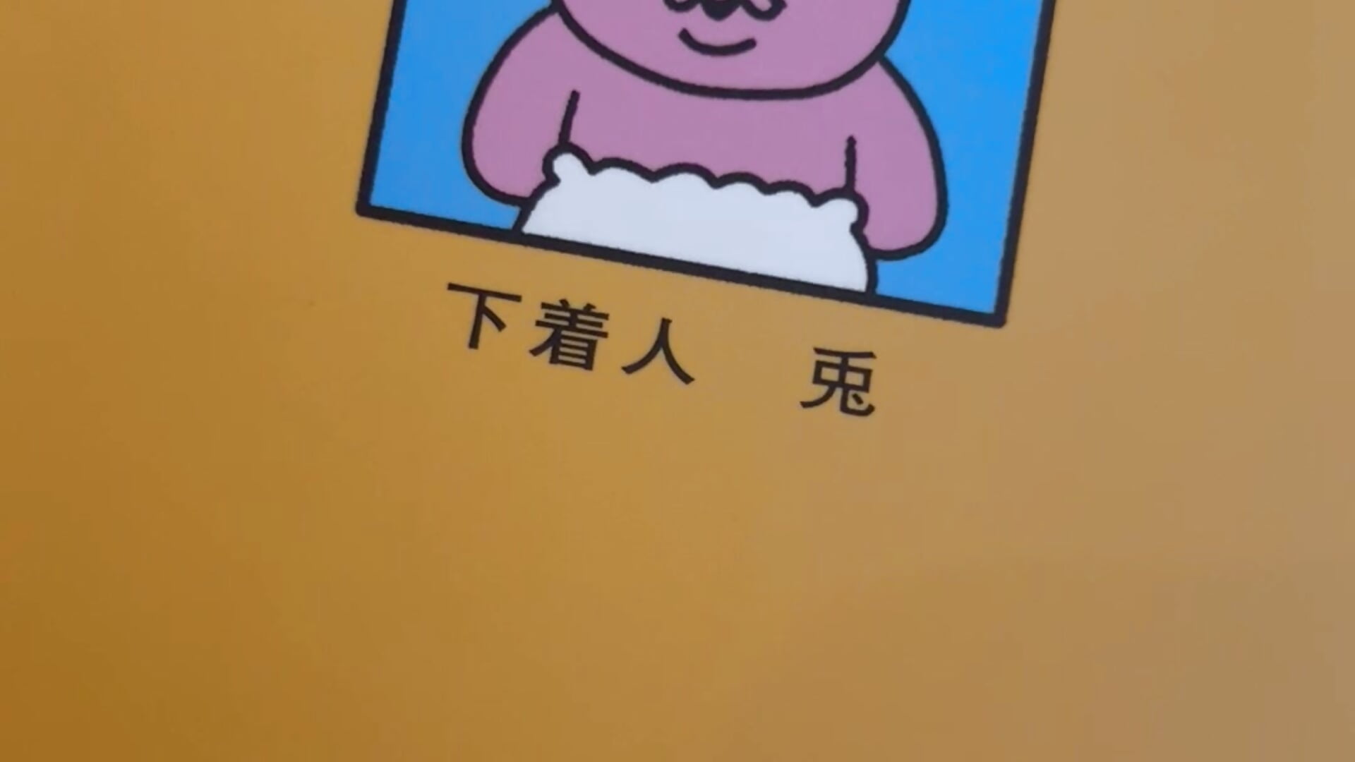 IMG_5703 - video by mm_room cam model