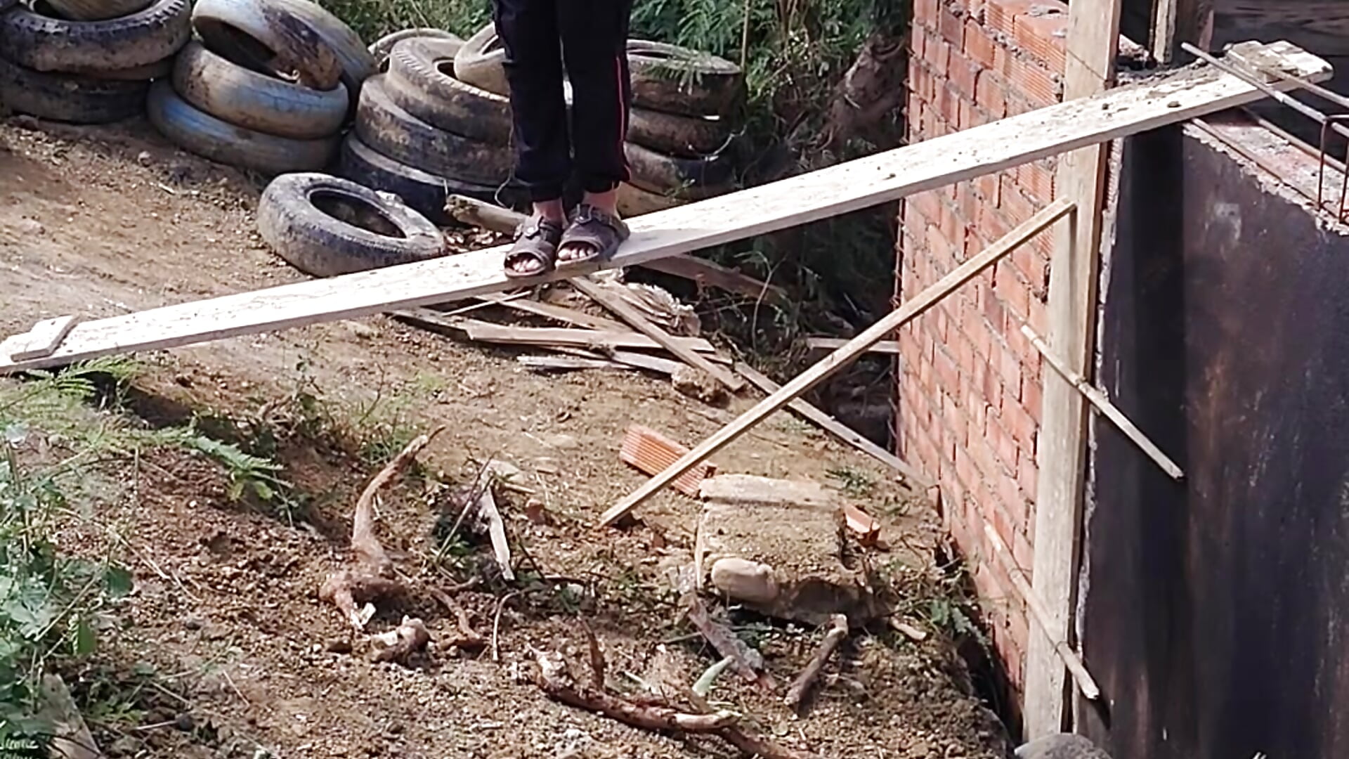 Here, crossing the bridge by the Chinese house 👌🏻 - فيديو من Juan_Hotcaliemte موديل الكام