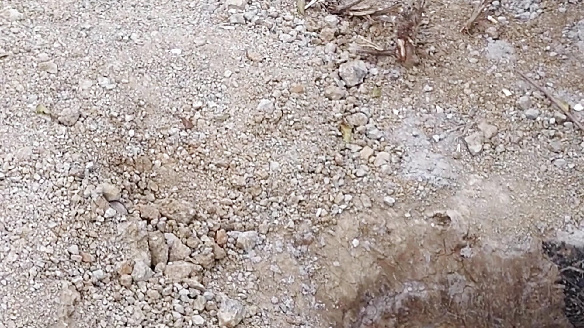 Thank God we're making progress little by little on the project - video by Juan_Hotcaliemte cam model