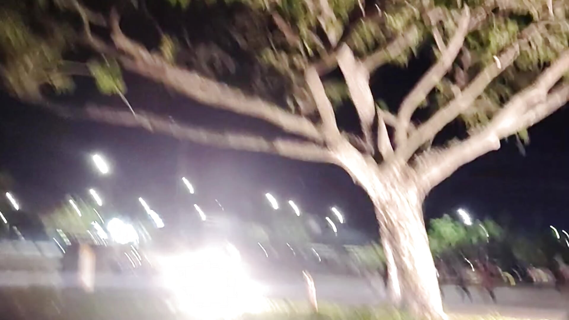 What a beautiful tree of life 🌿🌿 - Video von Juan_Hotcaliemte Cam-Model