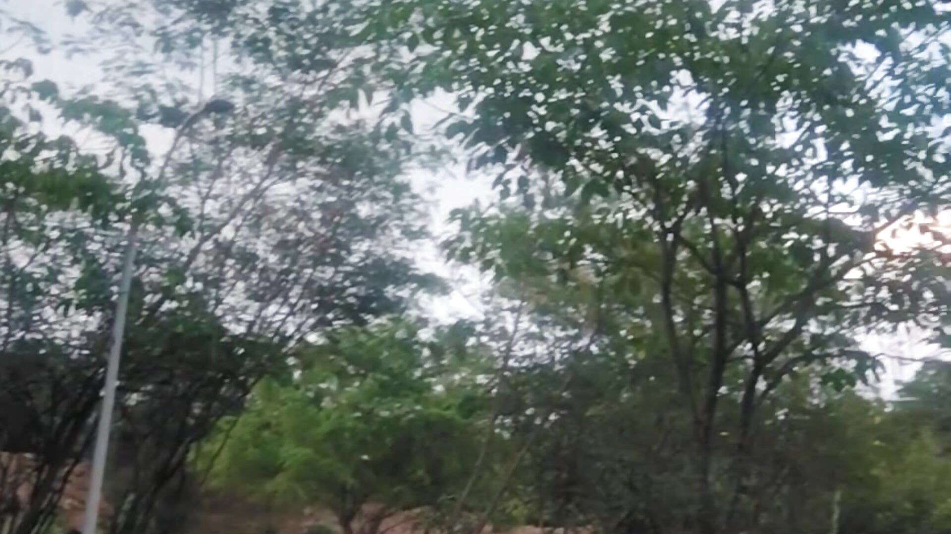 Here's a heavy park, a very special person, I hope to be here, during the week, you come here lying - video oleh Juan_Hotcaliemte kamera model