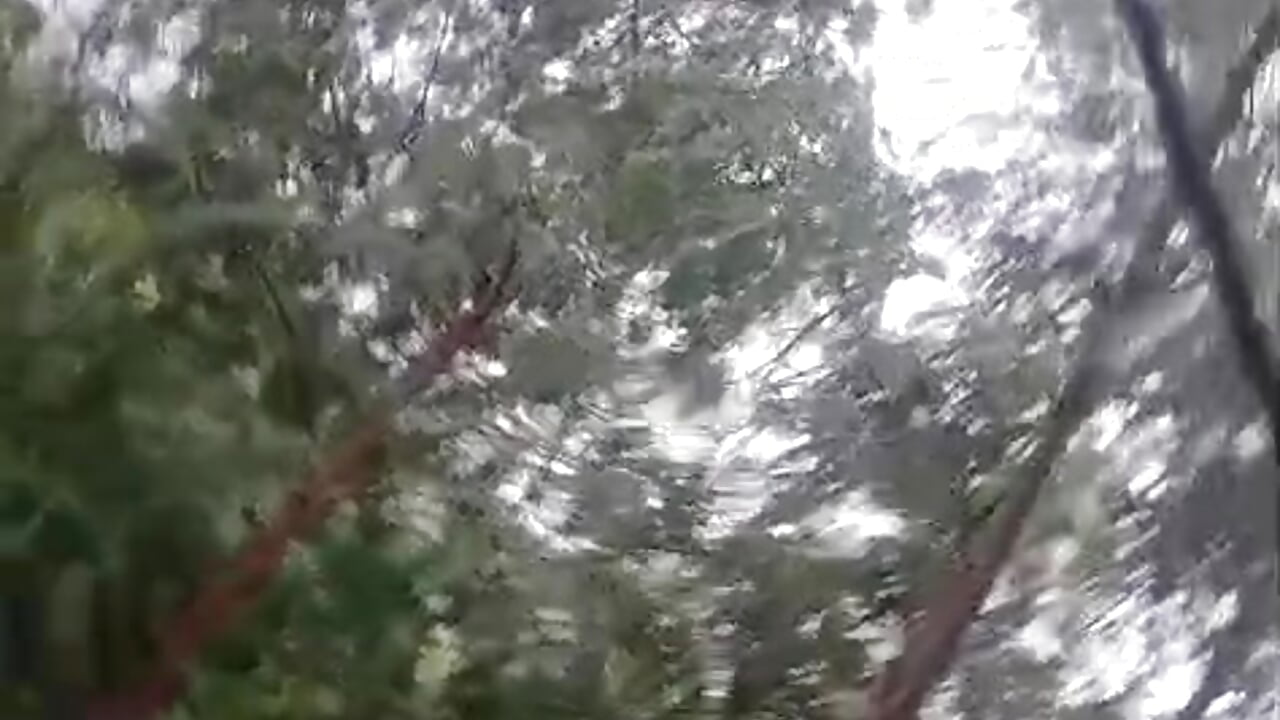 It's raining, I need something to warm me up - فيديو من Juan_Hotcaliemte موديل الكام