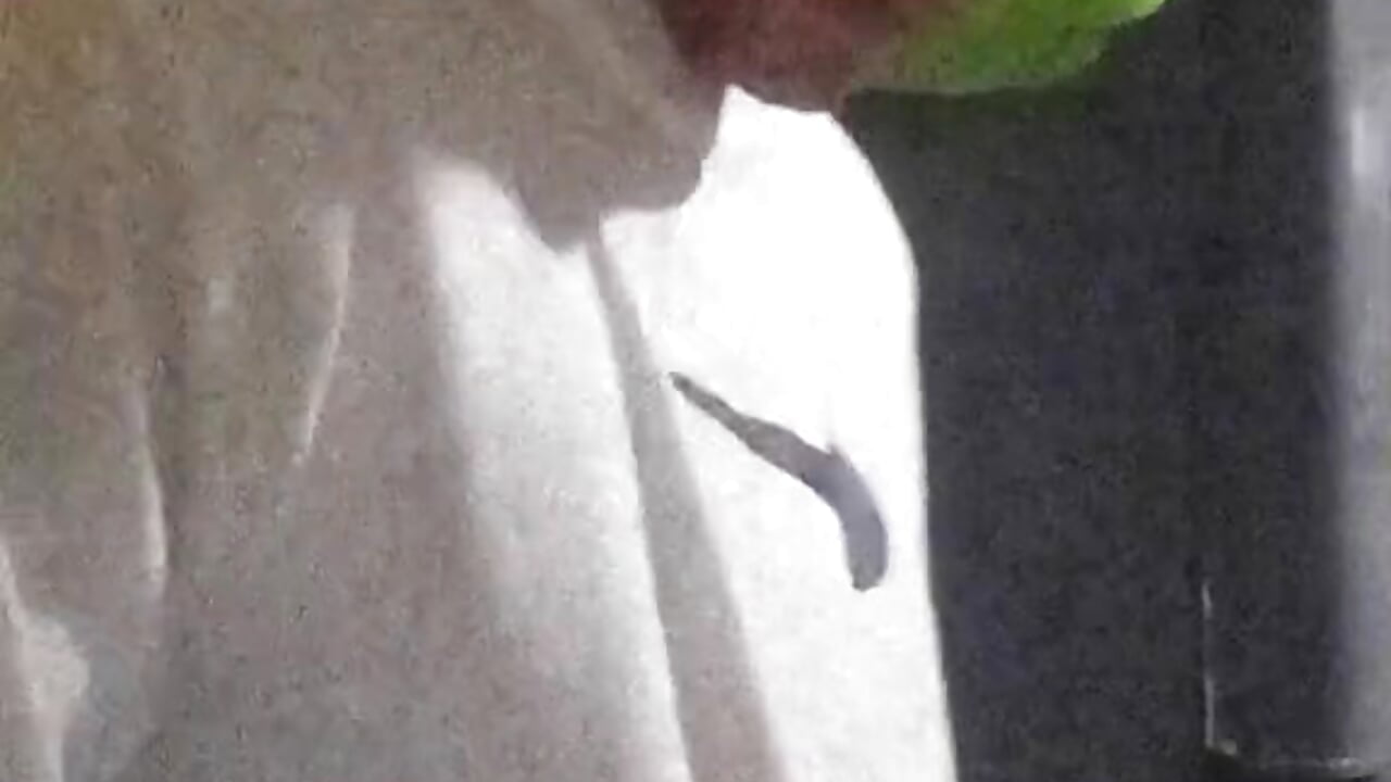 be91df3c5845beb066481f636f1c347a - vídeo de Maximu_01