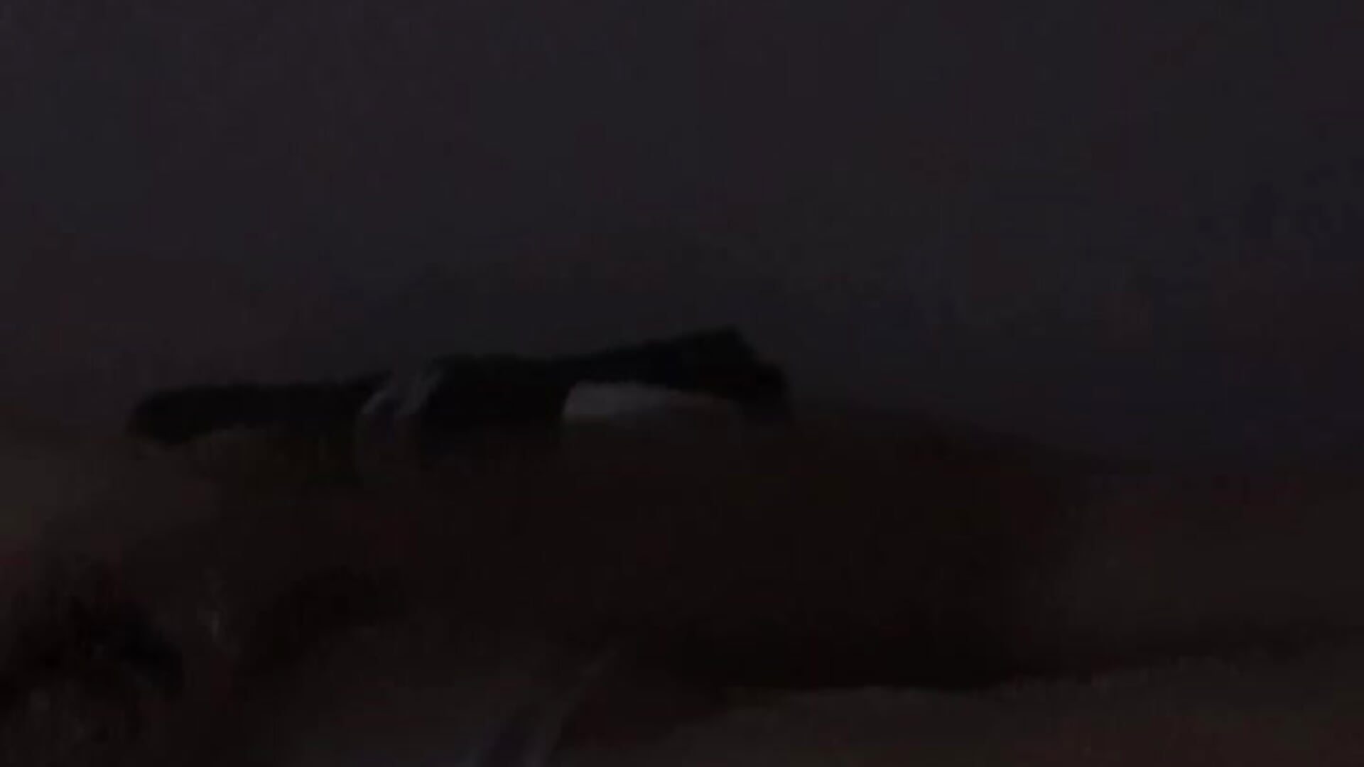 Aburrido xx - video av PervertSecretGuy cam-modell