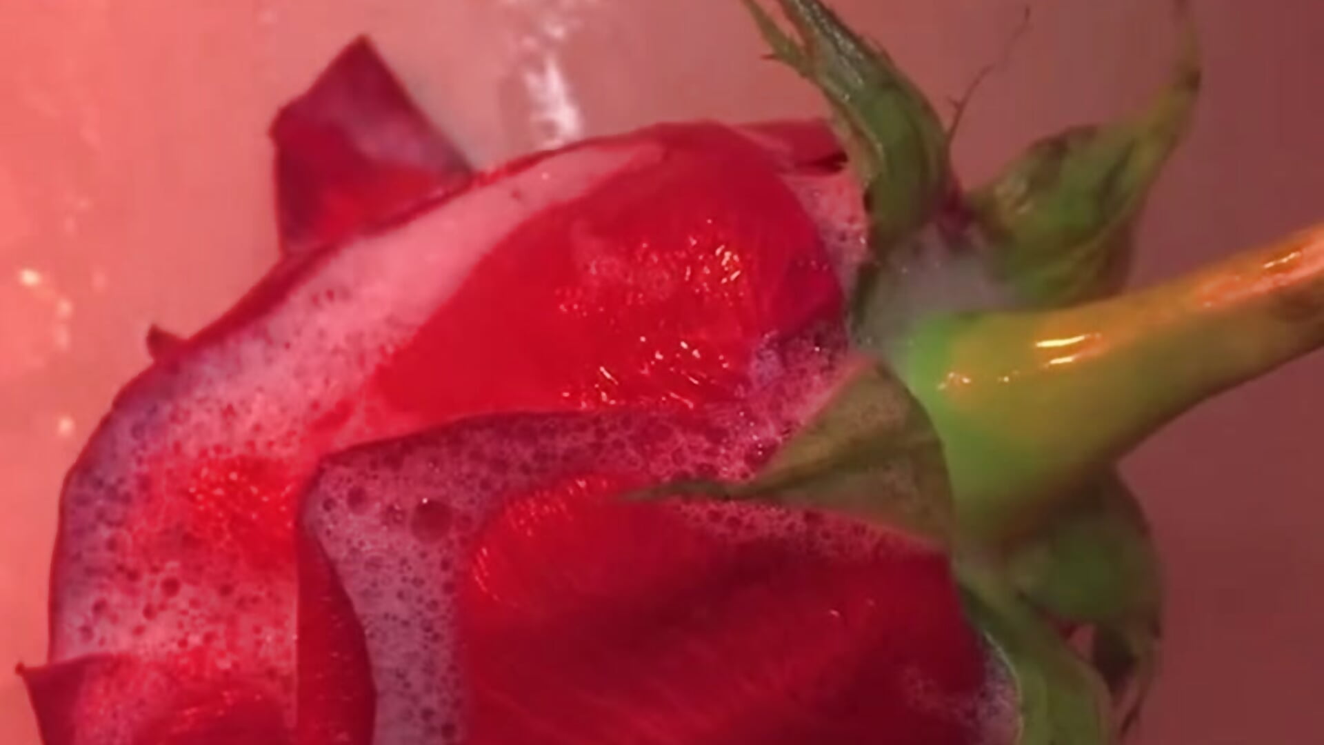 ❤️ - video by Sweet_mia_12 cam model