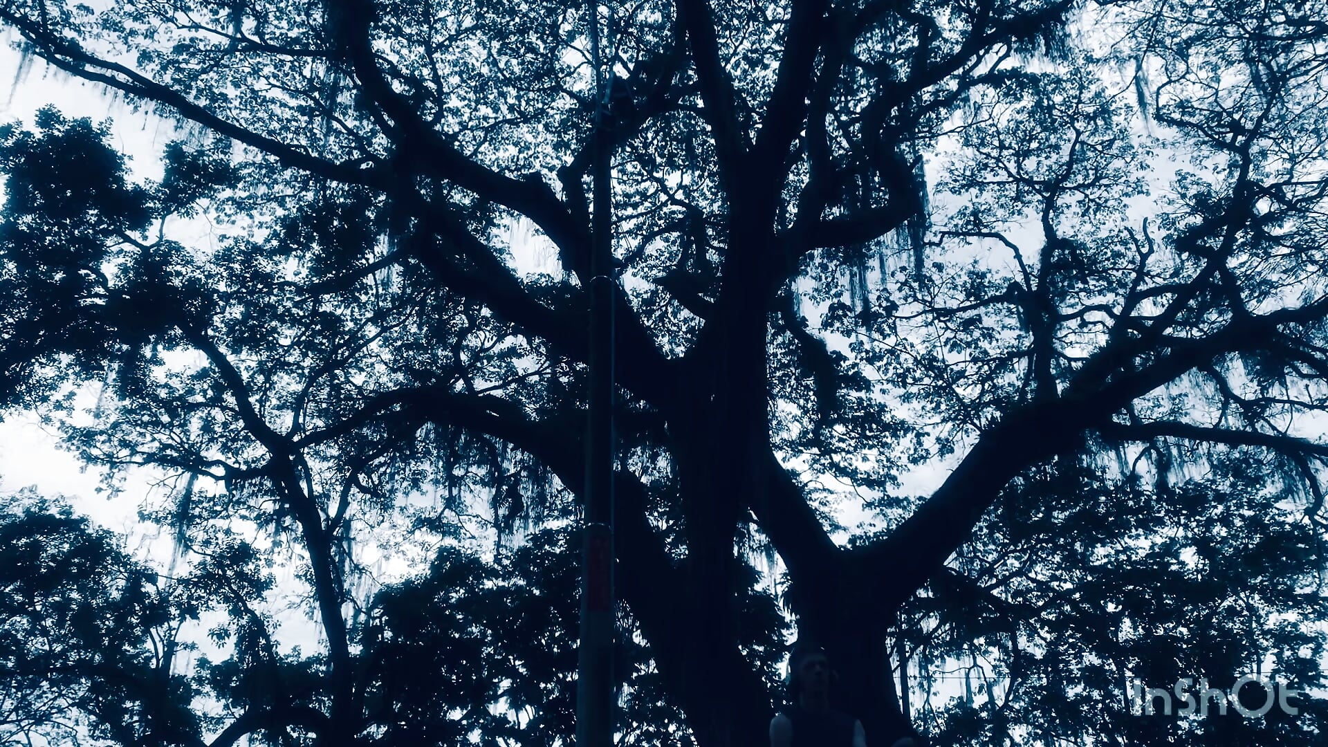 Laye Bo - Video von laye19 Cam-Model