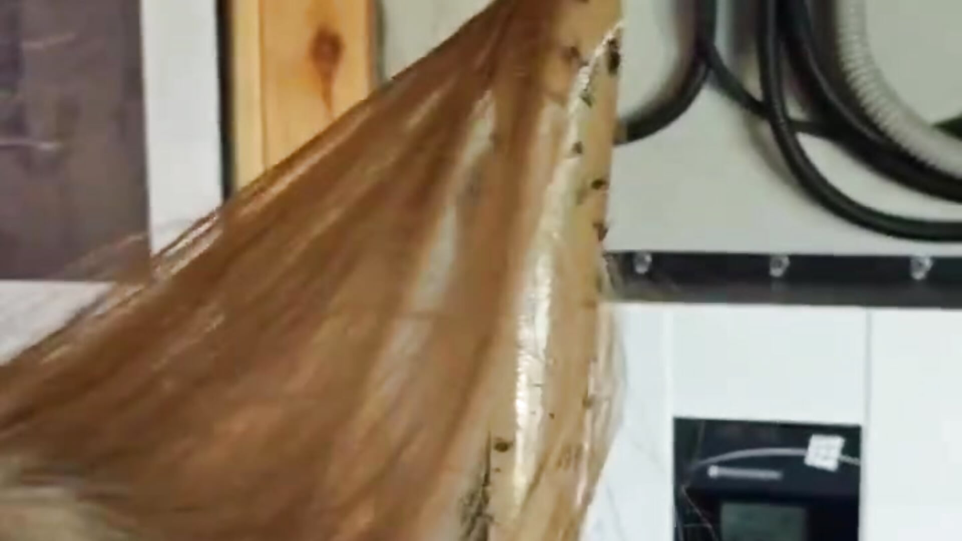 LOOOOL – video od webkamerové modelky royce_ghost1