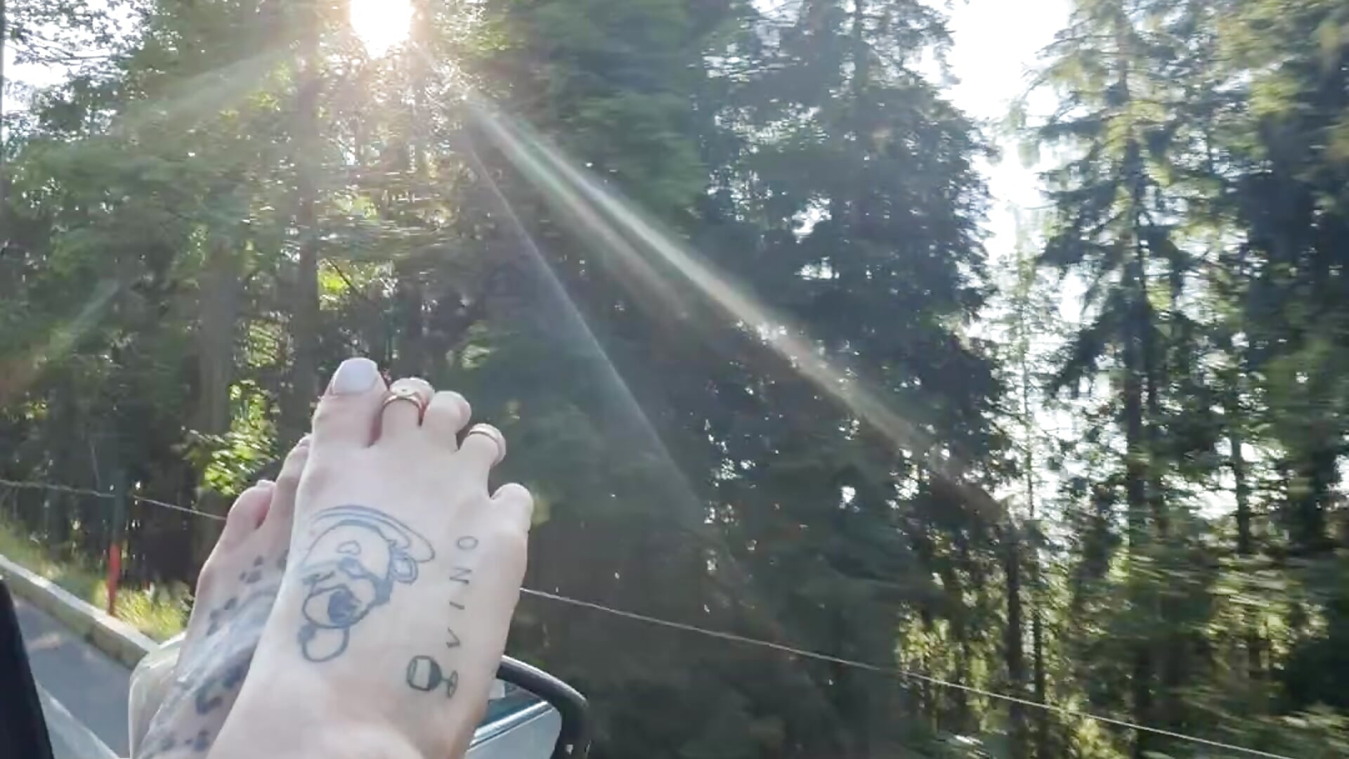 Sunny🦶