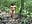 jump tits outdoor - video by Horny-Mommy-Dirty cam model