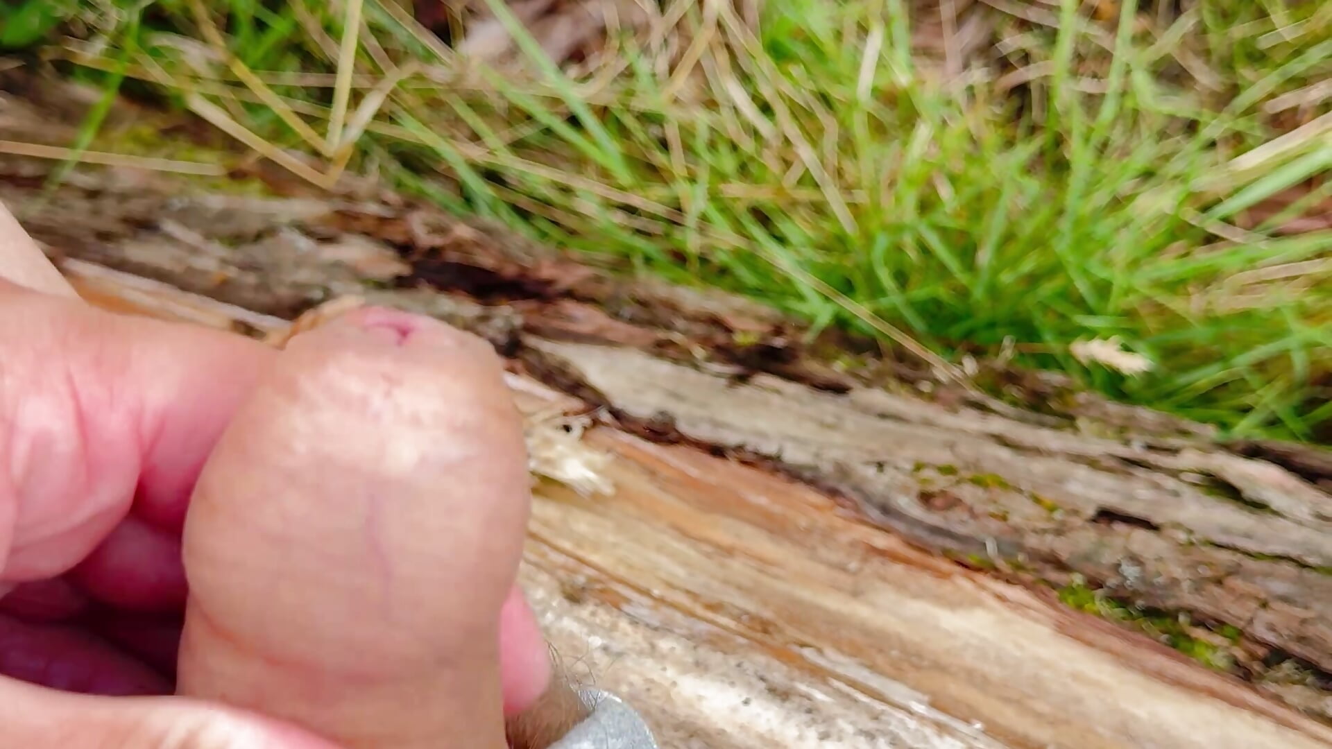 Public Cum - video by Hottii95 cam model