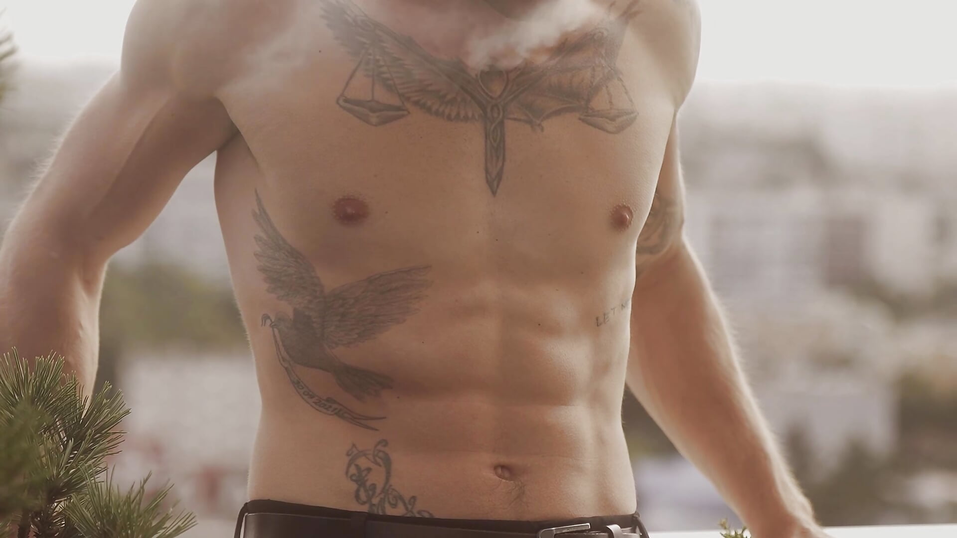 Journal sur un toit - vidéo du modèle de showcams Greyoff