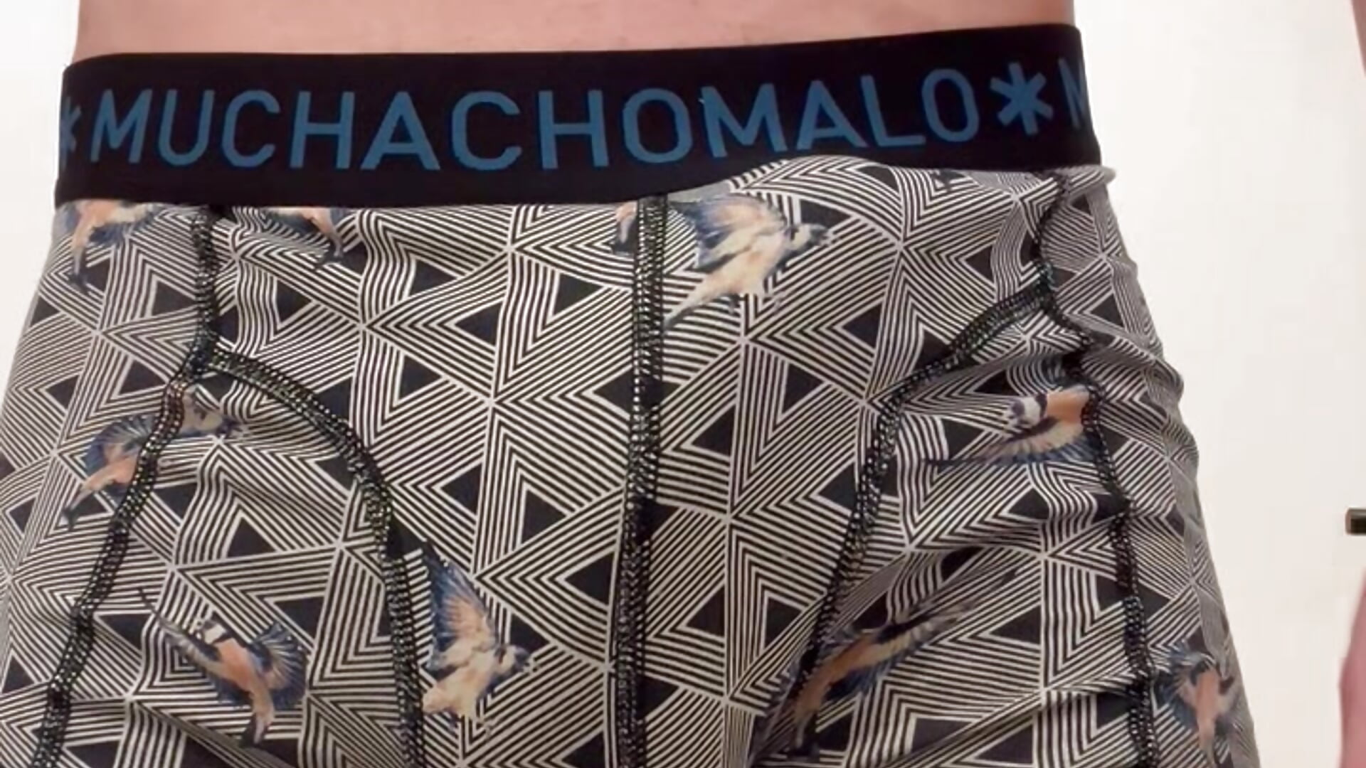 Hard cock unleased from underwear - video by hornytim2508 cam model