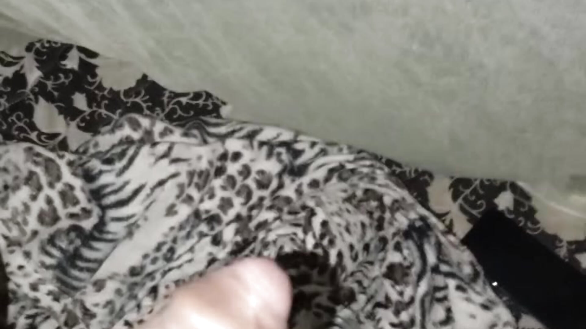 1000069164 - RayRay000000000主播的视频