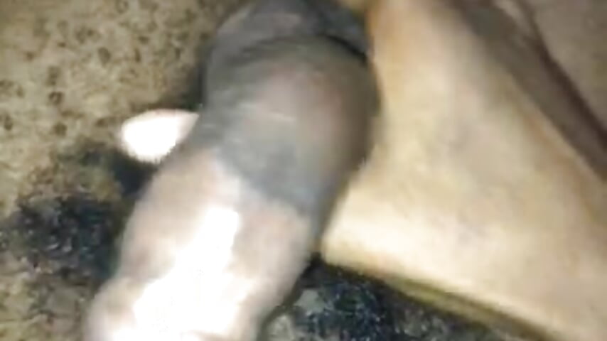 79894872084__6AFA6555-C87A-42B1-B625-45B42BFD2C2A - video by Ghops32 cam model