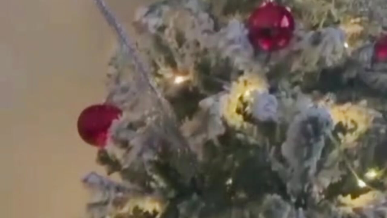 🎁 Merry Christmas Darling 🎄 - video by Moon_Cake333 cam model