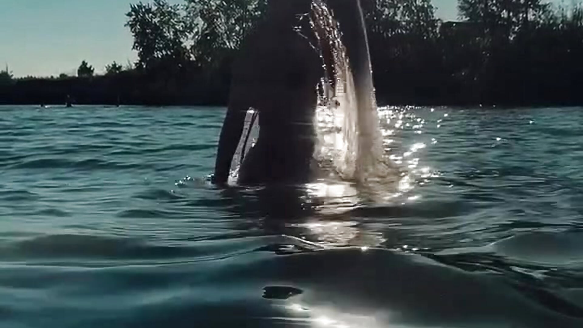 Mermaid - clip cu rock_n_roxy model videochat