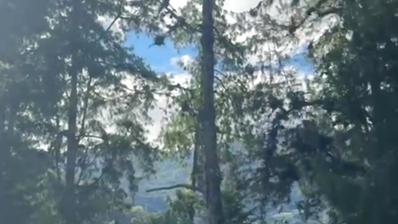 connecting with nature, conectando con la naturaleza - video by Alyssa_Houston cam model