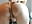 Little squirt on the beads - video by mali_haier cam model