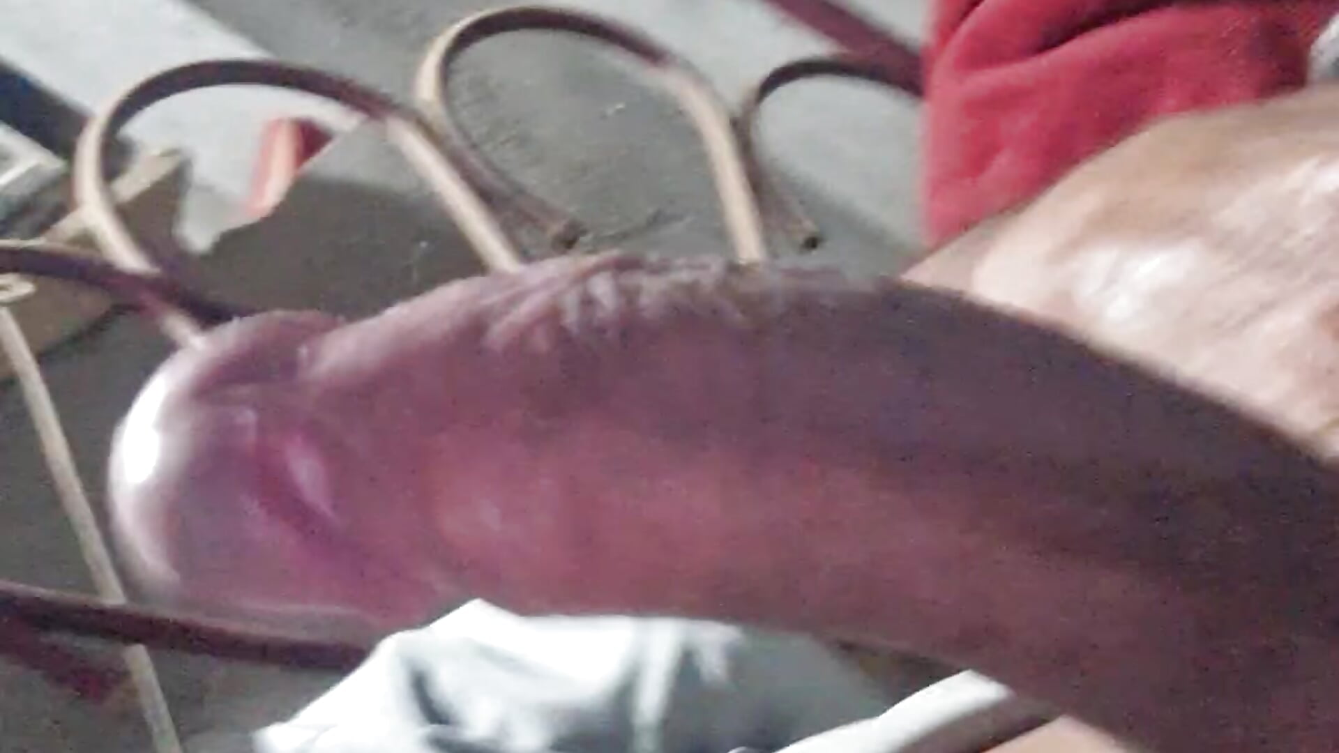 1000040827 - video gometszg kameramallilta