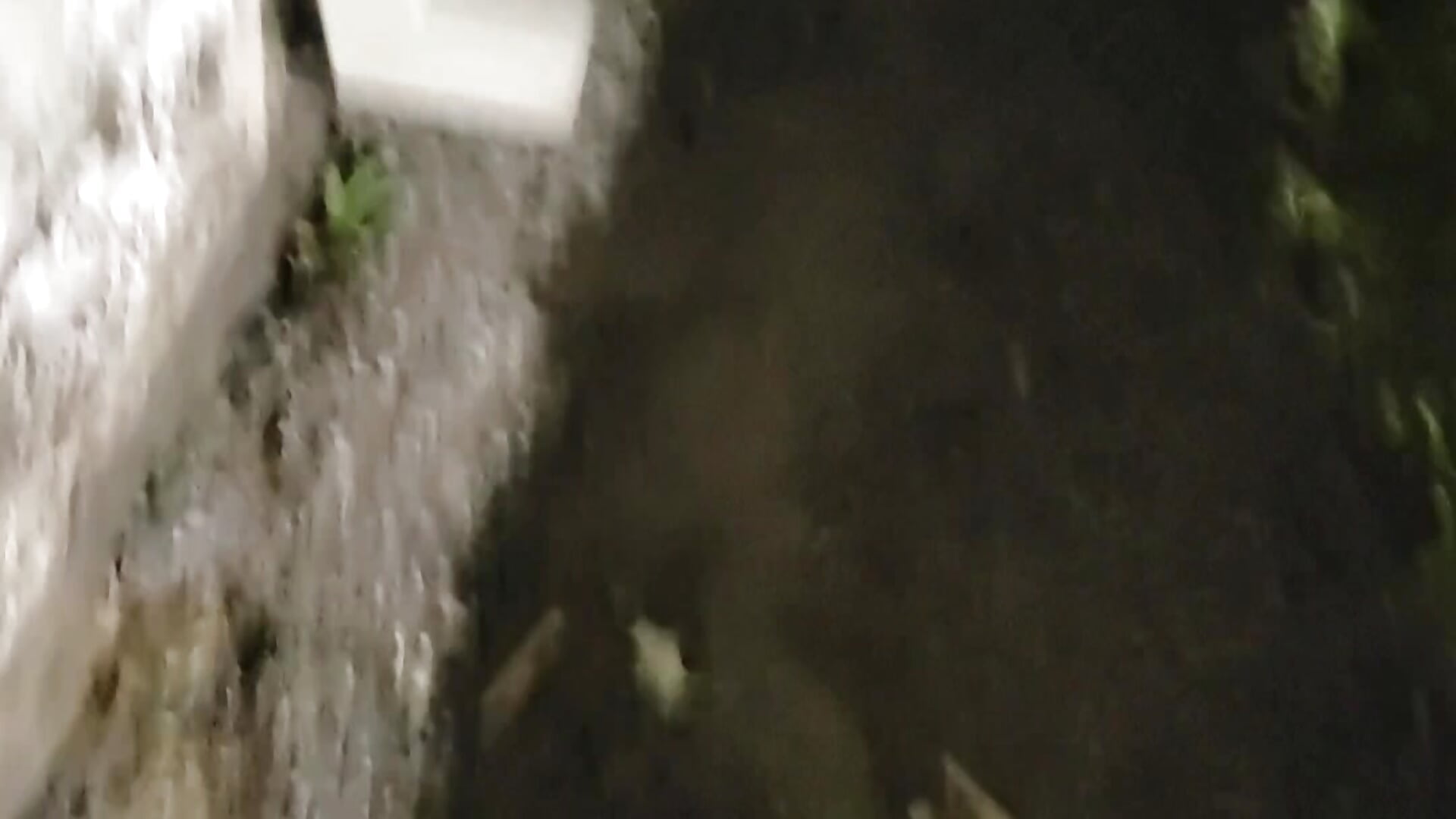 Walks at night - vidéo du modèle de showcams Choco_snow72