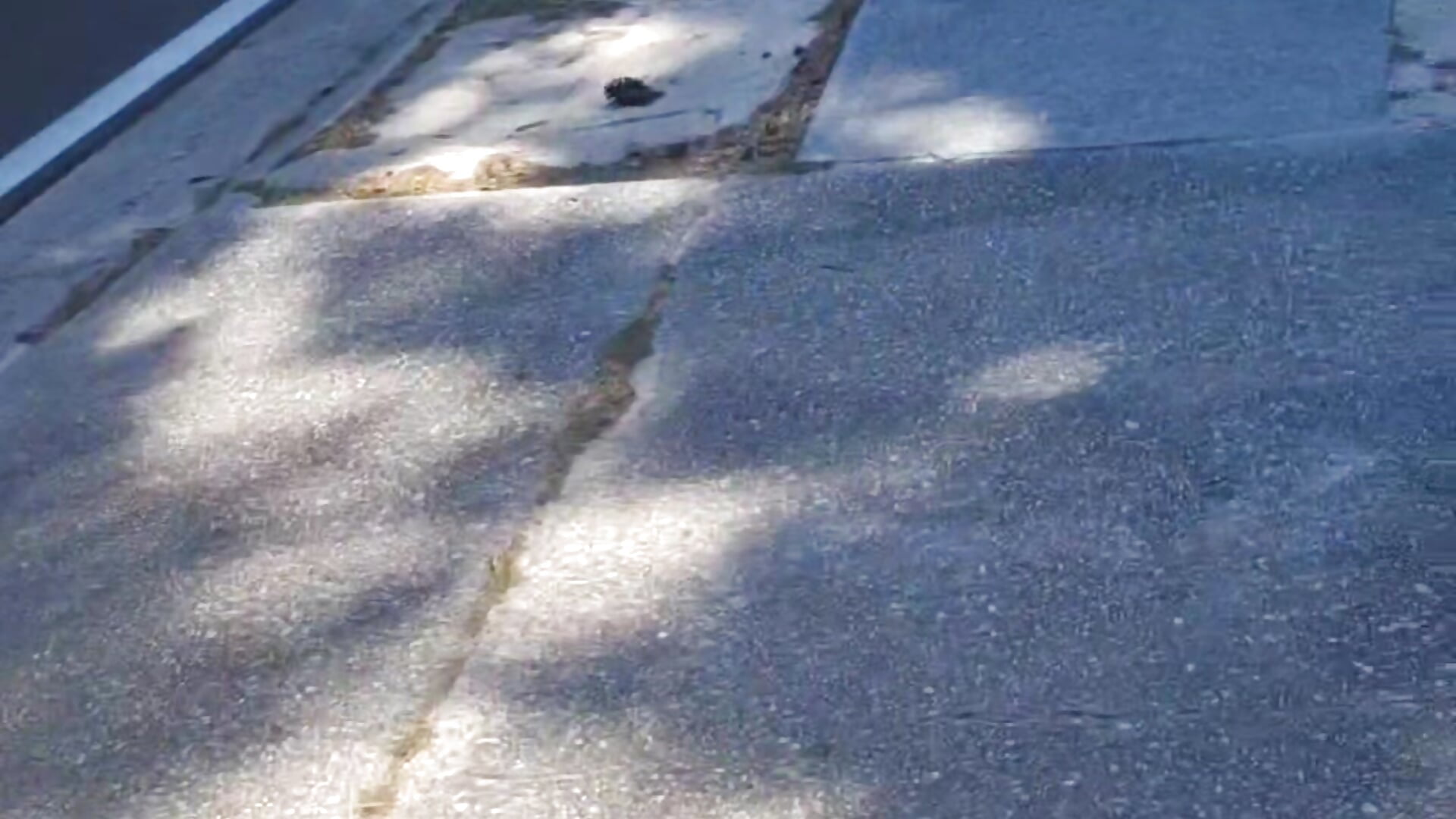 morning skate - vidéo du modèle de showcams Choco_snow72