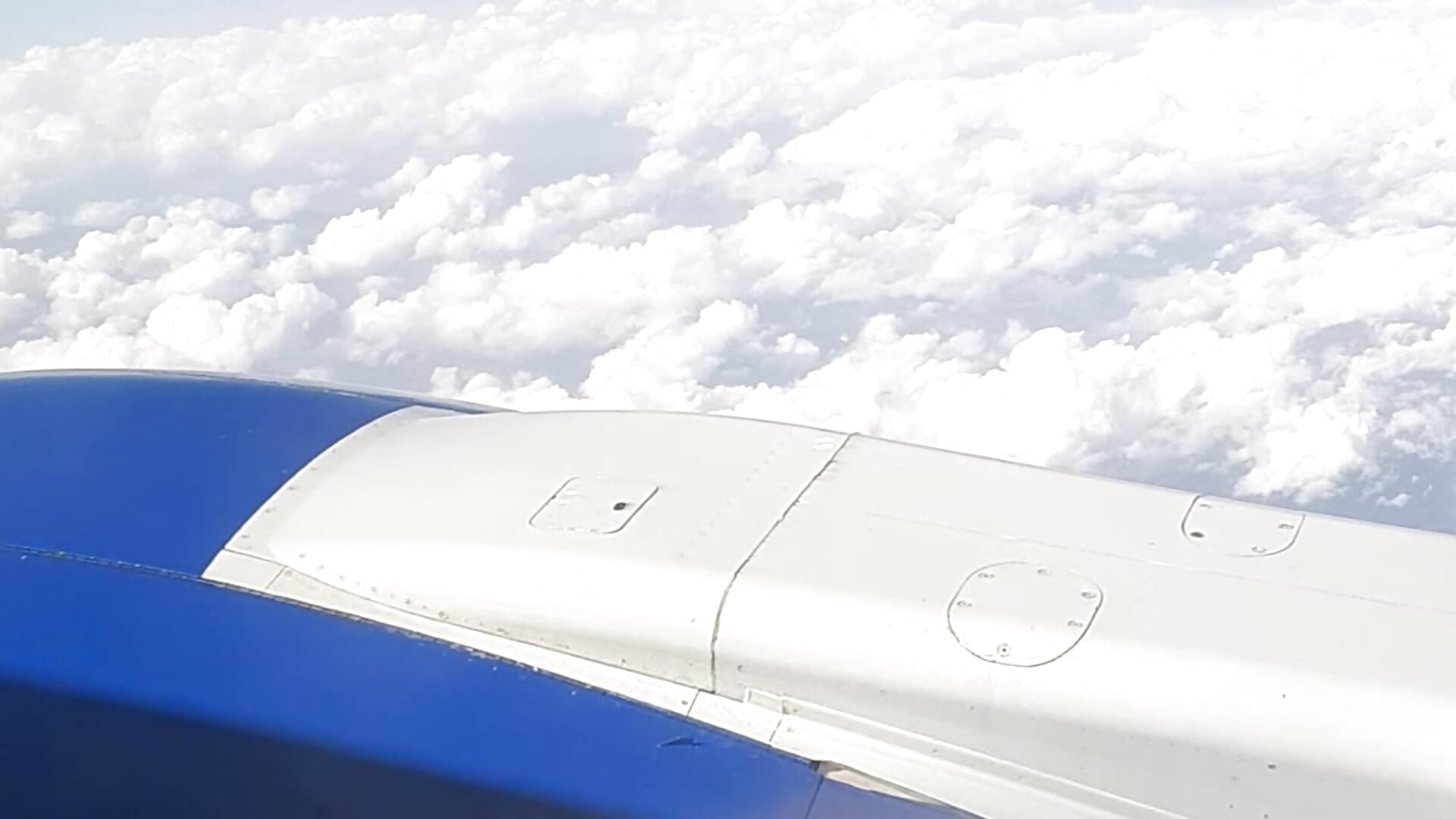 Flaing to you - video by cecylya4u cam model