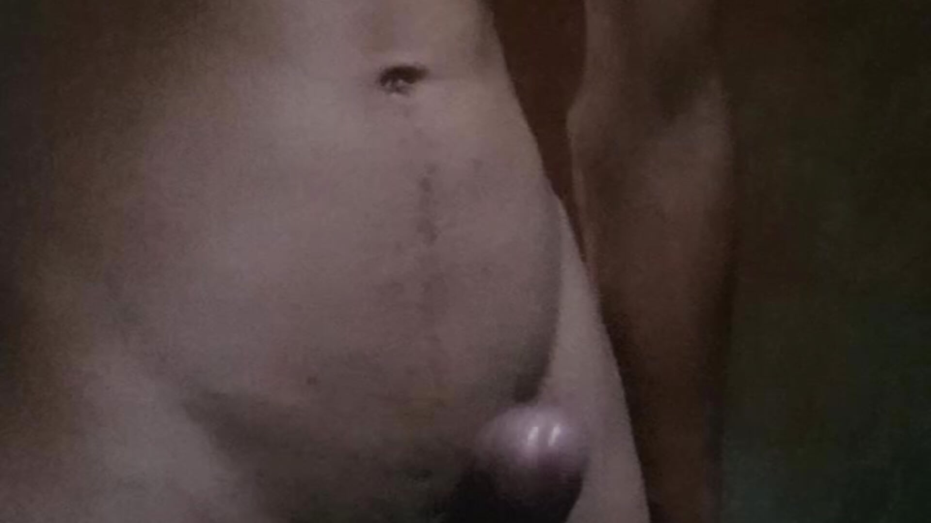 👀🔥 - video di 1Sebas_Sanchez modella di cam