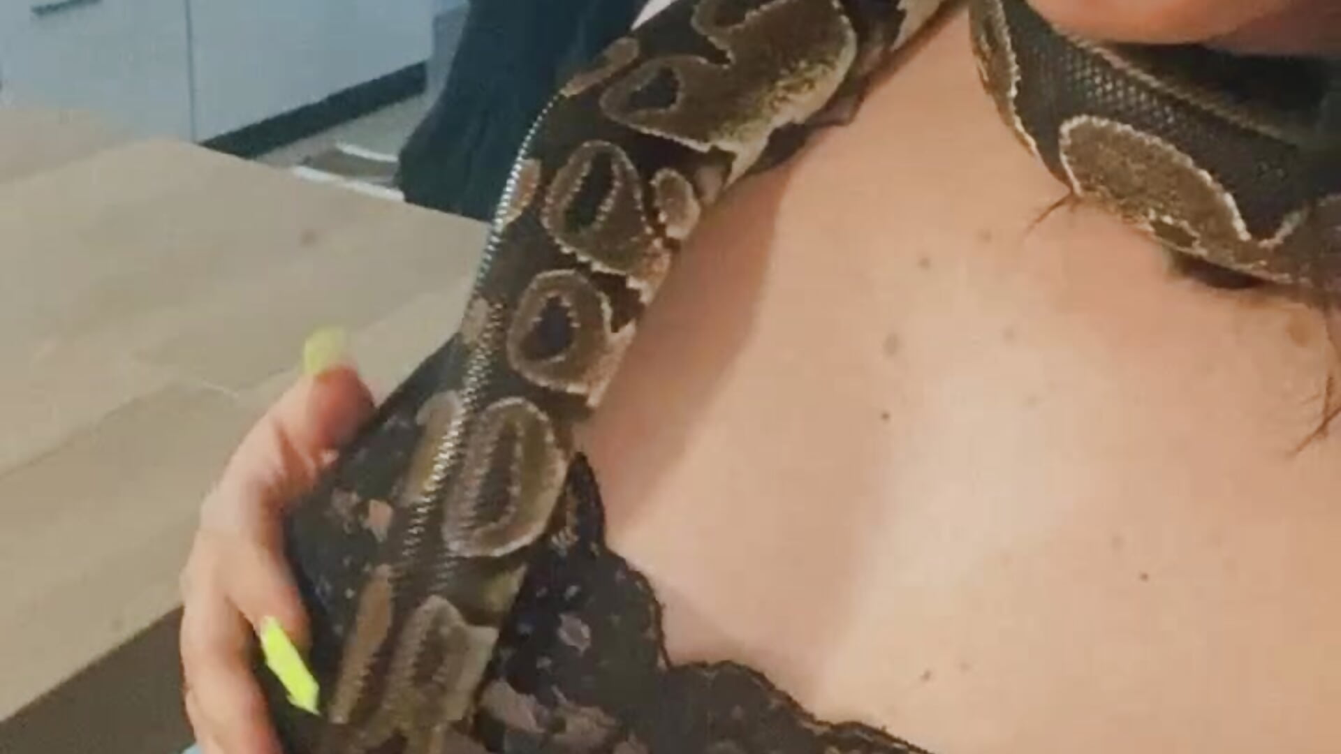 2bde79c7516b40bd99a30197d9d7ff30 - vídeo de alexaandreea99 modelo de câmara