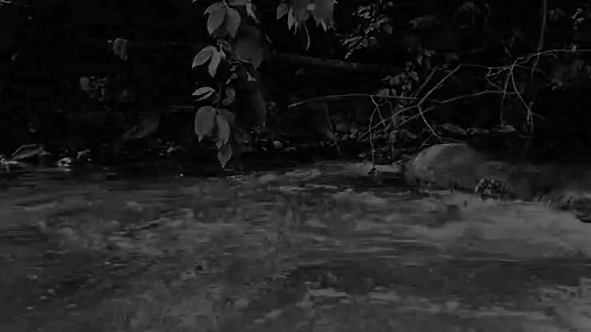 VID_22810626_043244_084 - video av mariobross_2 cam model