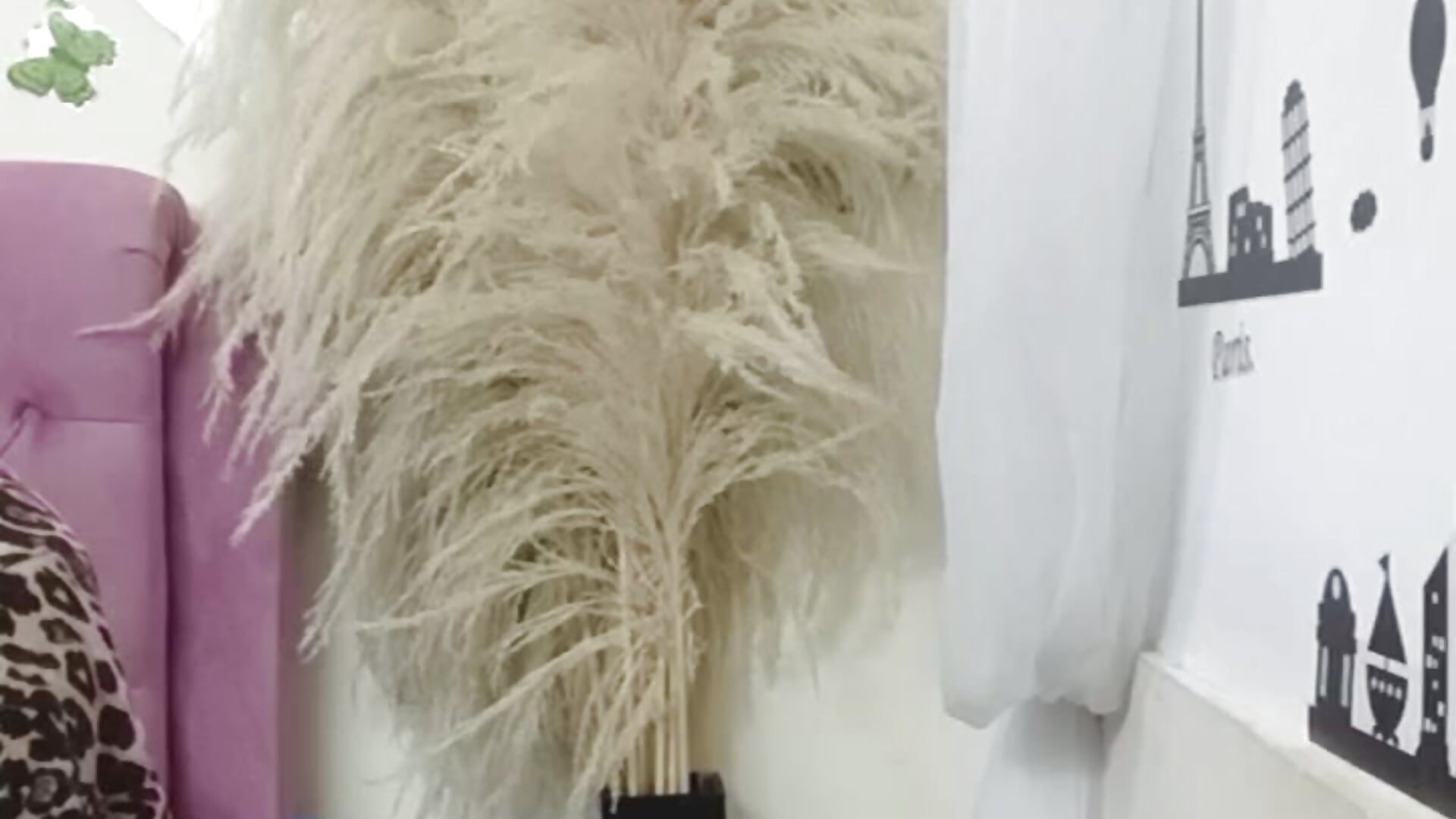 Estudio - فيديو من cristal_thailor موديل الكام