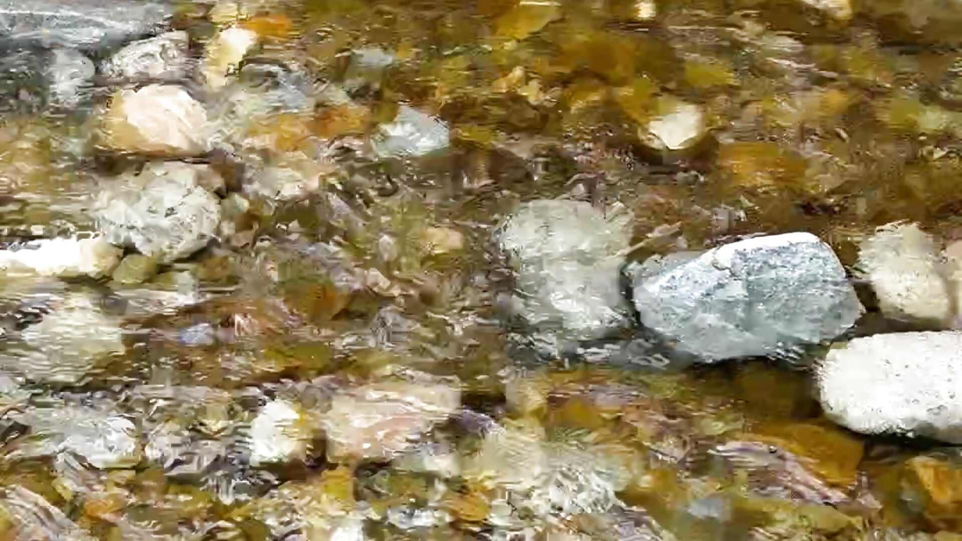 IMG_4992 - video by Miss-KrenJr cam model