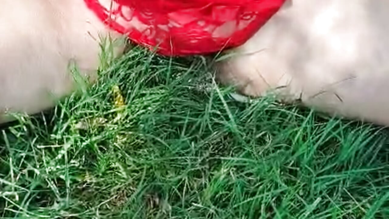 VID-20240723-WA0023