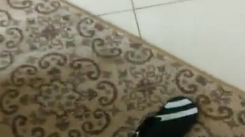 Xvideos_batendo_punheta_18_cm_360p - video by Edubccarente