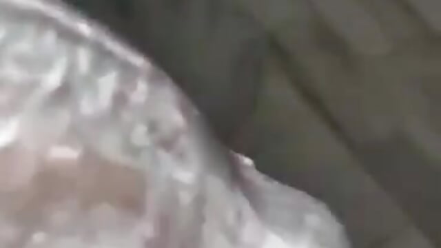 VID-20240725-WA0000 - video by youngcouplesraj