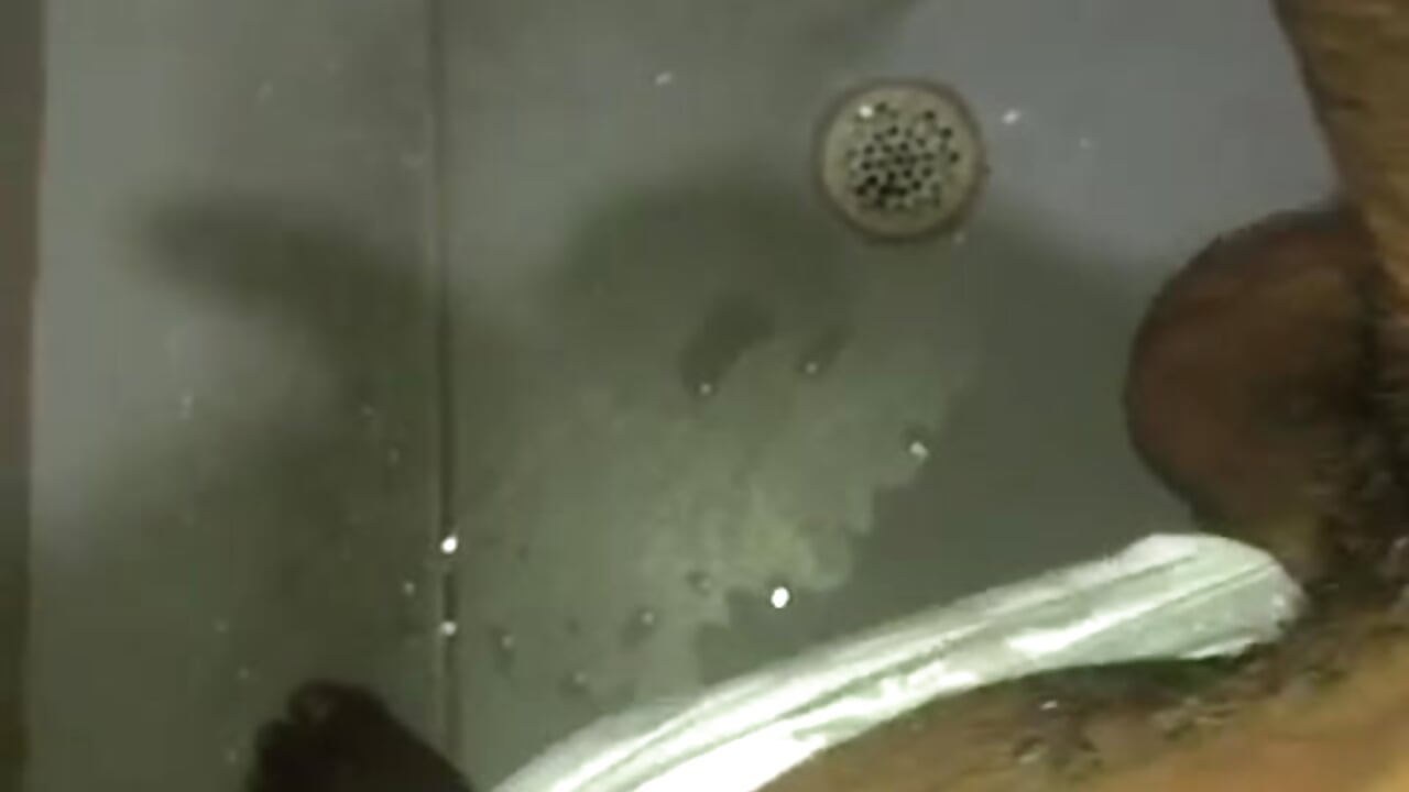 very hot - video by Roderick_lebron