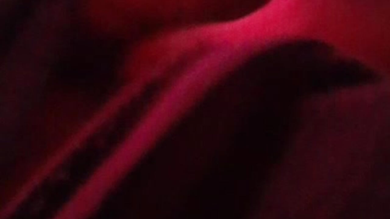 VID-20230808-WA0040 — filmik perrrotegrande, modela(-lki) na kamerkach