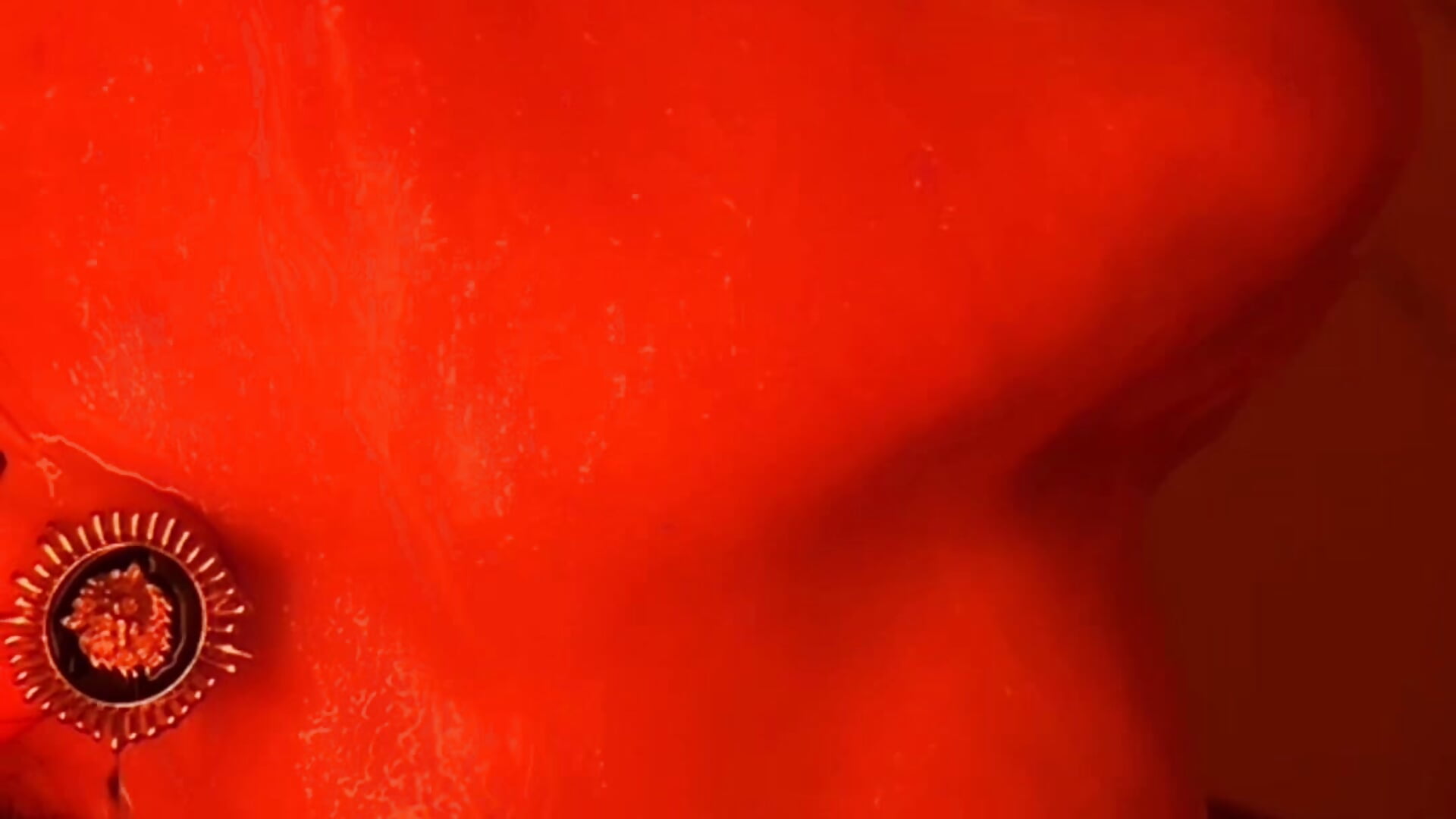 Red bath - video by Ralli26 cam model