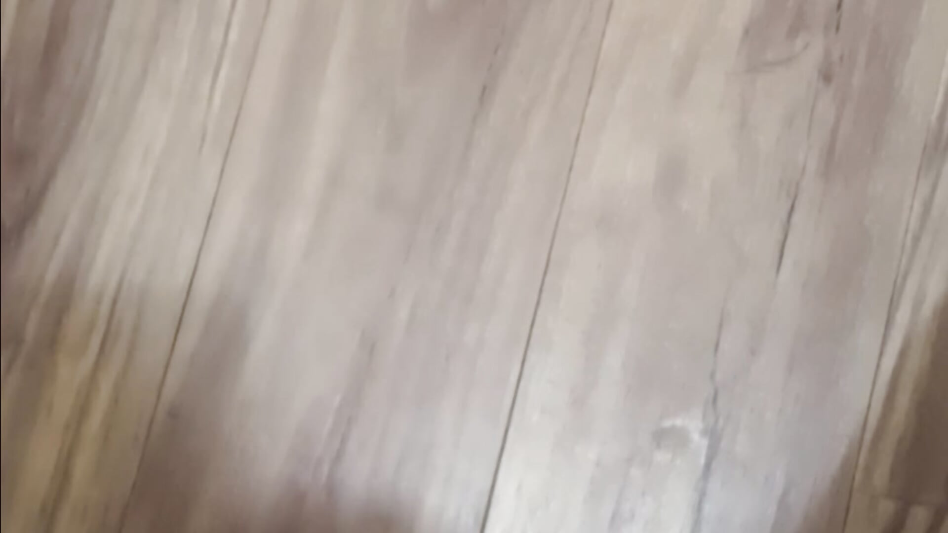 Stroking till cum. - video by Nobodyjustmee1