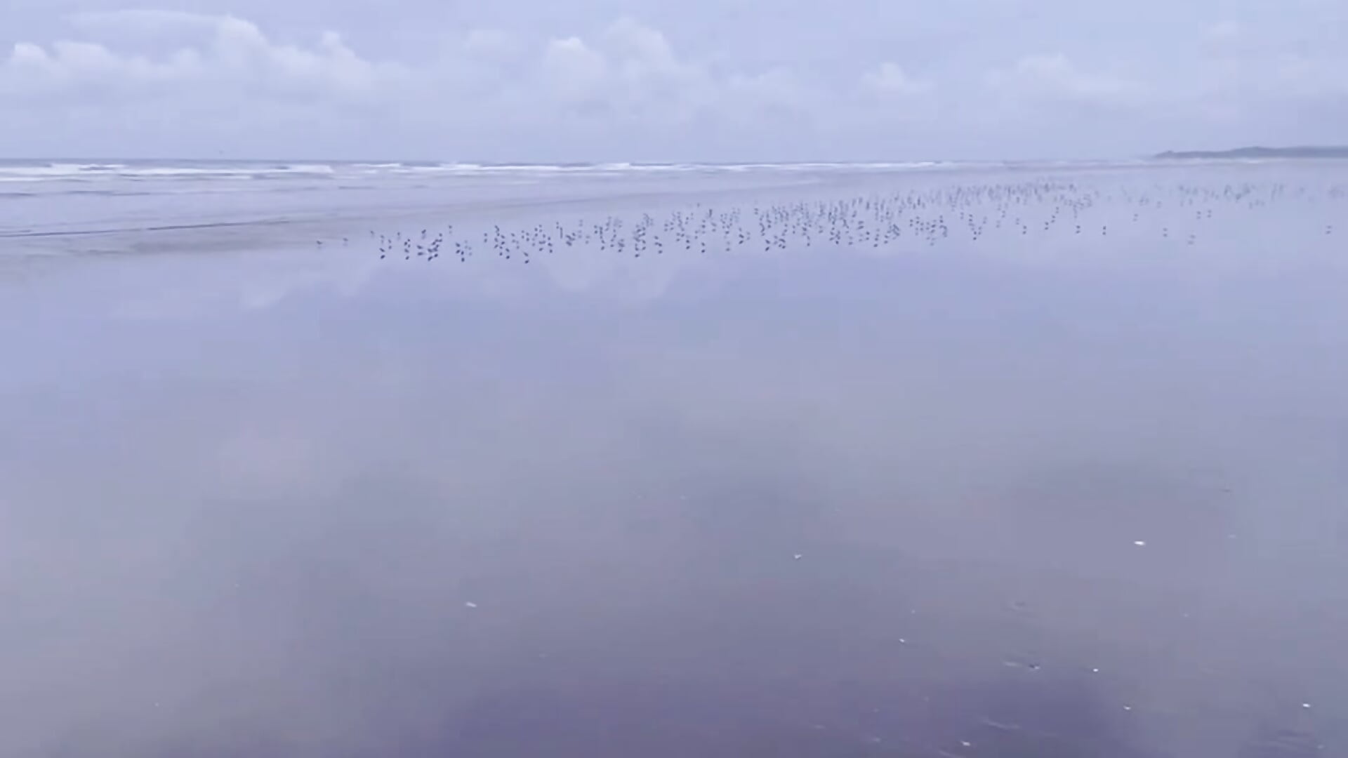 🩵 - video by SarahBrunet cam model