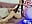 Oil on my legs - Video von NahiaraEvans_ Cam-Model