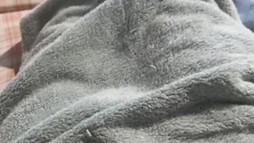 74426701592__A0075BAB-866C-4A9A-A655-DE5E46C2EA09 - video by xinan520 cam model