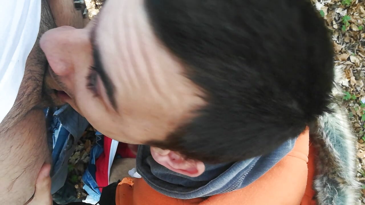 Suck in wood - video by Bigone_Cro cam model